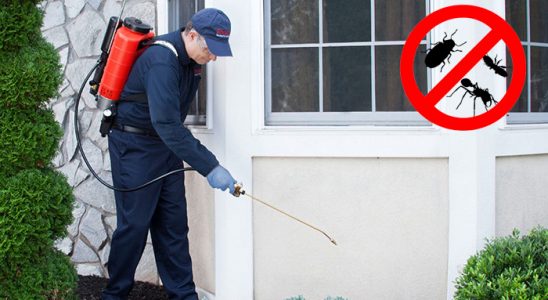 Çatalpınar Böcek ve Haşere İlaçlama böcek ilaçlama ve haşere kontrolü — ilaclama-tr.com